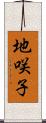 地咲子 Scroll