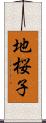 地桜子 Scroll