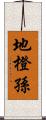 地橙孫 Scroll