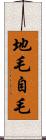 地毛 Scroll