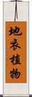 地衣植物 Scroll