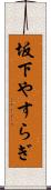 坂下やすらぎ Scroll