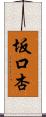 坂口杏 Scroll