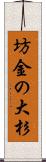 坊金の大杉 Scroll