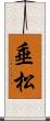 垂松 Scroll