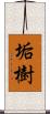 垢樹 Scroll