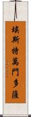 Estevan Mendoza Scroll