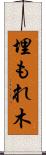 埋もれ木 Scroll