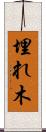 埋れ木 Scroll