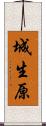 城生原 Scroll