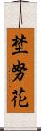 埜努花 Scroll