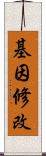 基因修改 Scroll