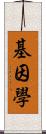 基因學 Scroll