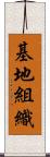 基地組織 Scroll