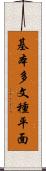 基本多文種平面 Scroll