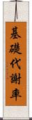 基礎代謝率 Scroll