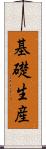 基礎生産 Scroll
