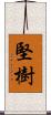堅樹 Scroll