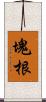 塊根 Scroll