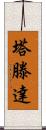 Tatenda Scroll