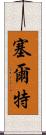 塞爾特 Scroll