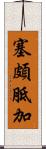 塞頗胝加 Scroll