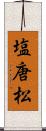塩唐松 Scroll