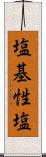 塩基性塩 Scroll