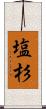 塩杉 Scroll