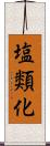 塩類化 Scroll