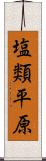 塩類平原 Scroll