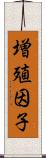 増殖因子 Scroll