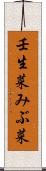 壬生菜 Scroll