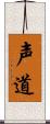 声道 Scroll