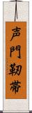 声門靭帯 Scroll