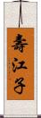 壽江子 Scroll