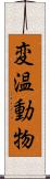 変温動物 Scroll