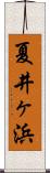 夏井ヶ浜 Scroll