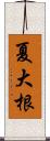 夏大根 Scroll