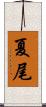 夏尾 Scroll