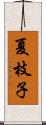 夏枝子 Scroll