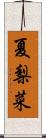 夏梨菜 Scroll