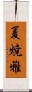 夏焼雅 Scroll