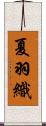 夏羽織 Scroll