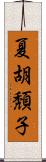 夏胡頽子 Scroll