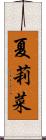 夏莉菜 Scroll