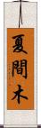 夏間木 Scroll