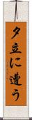 夕立に遭う Scroll