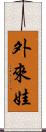 外來娃 Scroll