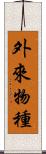 外來物種 Scroll
